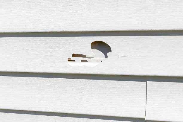 Best Custom Trim and Detailing for Siding  in Brock Hall, MD